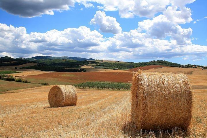 Appartamento Old England In Chianti Montespertoli Exterior foto